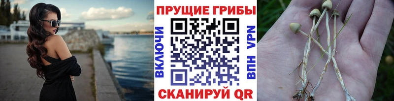 Псилоцибиновые грибы ЛСД  МЕГА как войти  Жуковка 