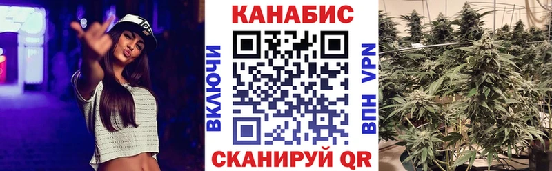 где найти наркотики  Жуковка  МАРИХУАНА индика 
